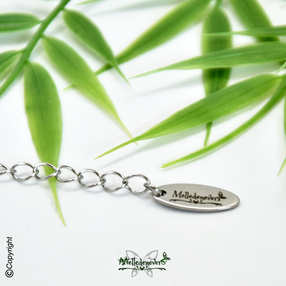 Libellule des Bois Enchantés