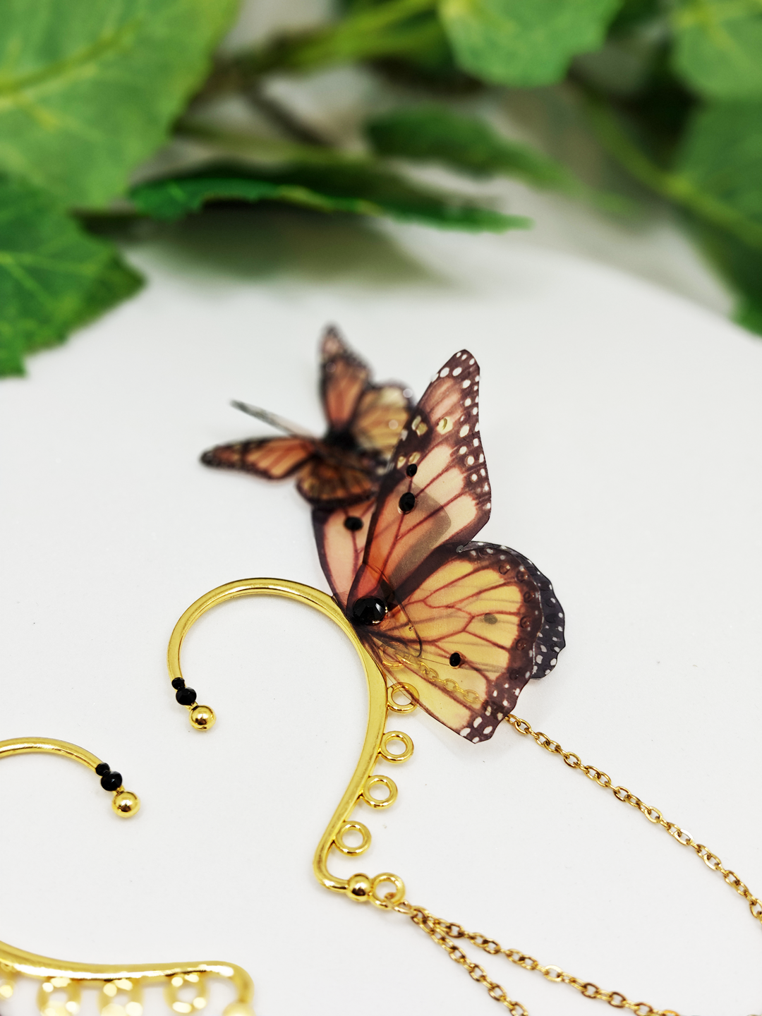 Précommande Papillon Monarque