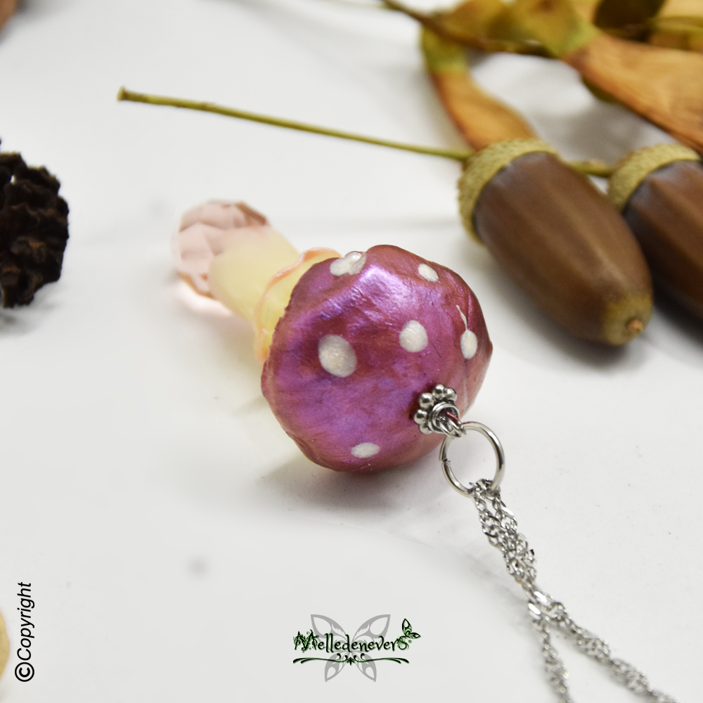 Champignon Rosaria
