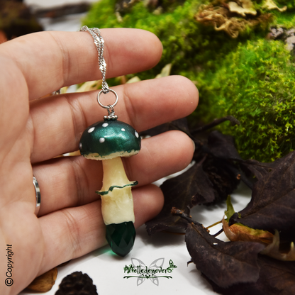 Champignon Canamelia