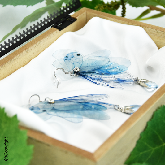 Sylphe Azur Céleste