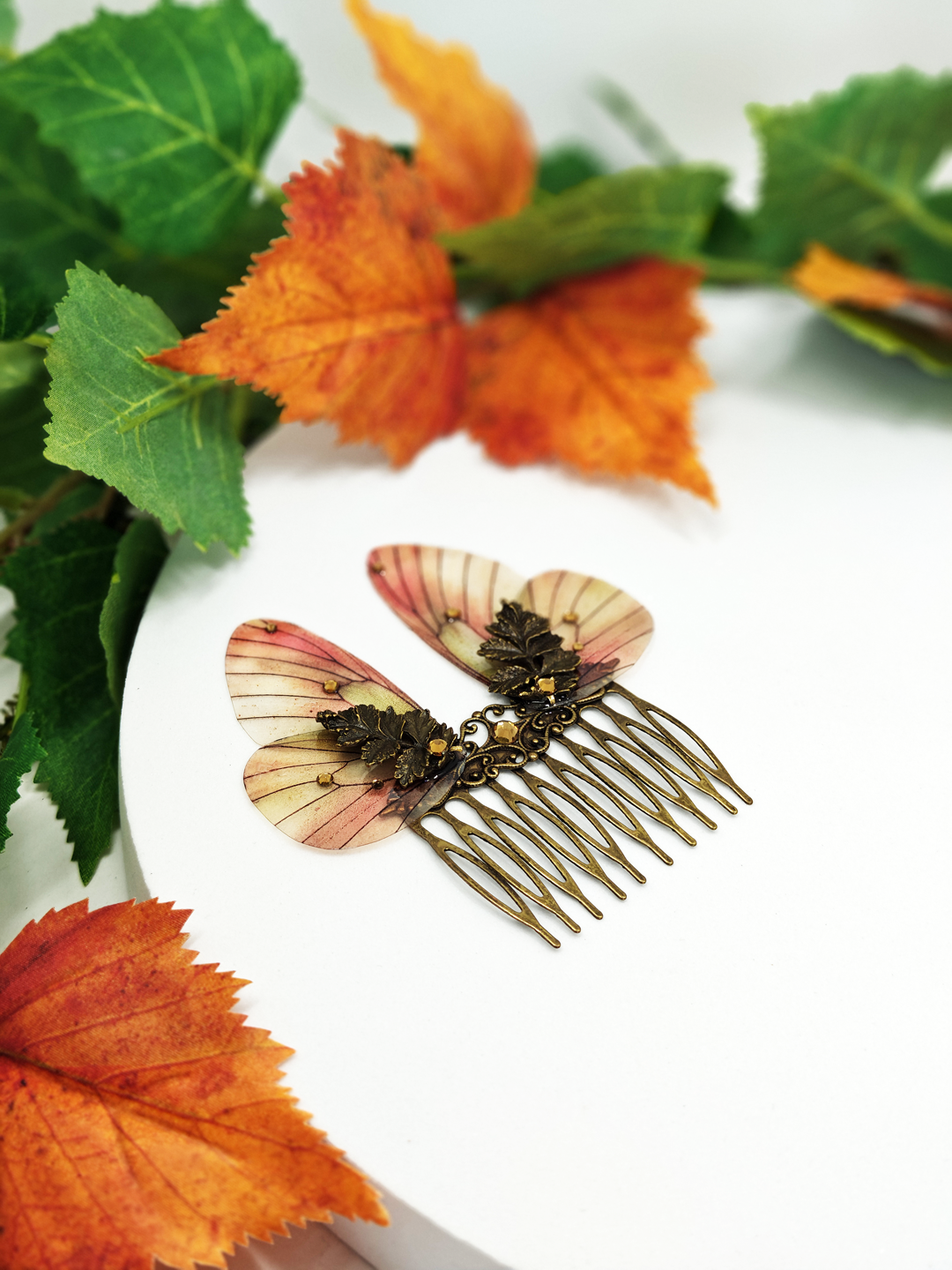 Papillon Gazé d'Automne