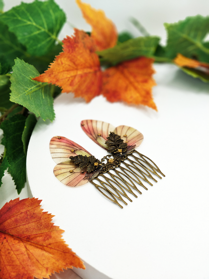 Papillon Gazé d'Automne