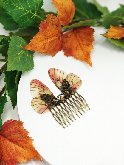 Papillon Gazé d'Automne