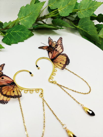 Précommande Papillon Monarque