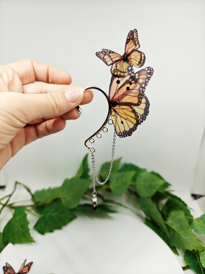 Précommande Papillon Monarque