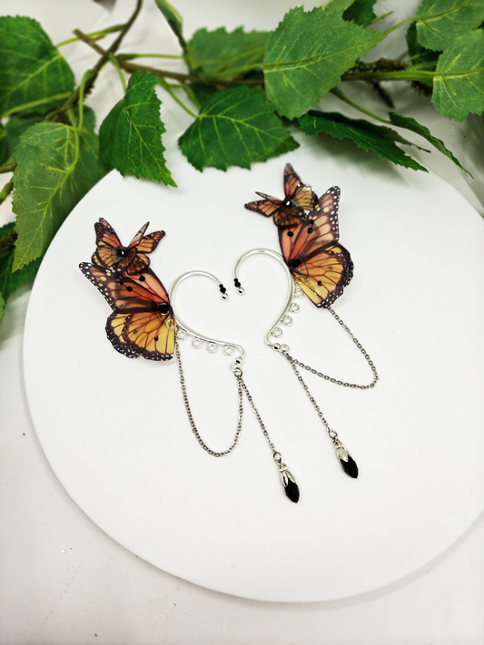 Précommande Papillon Monarque