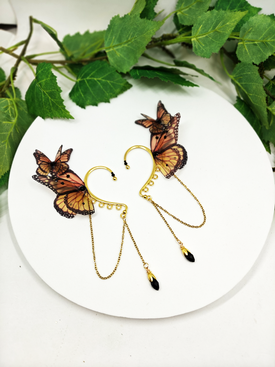 Précommande Papillon Monarque