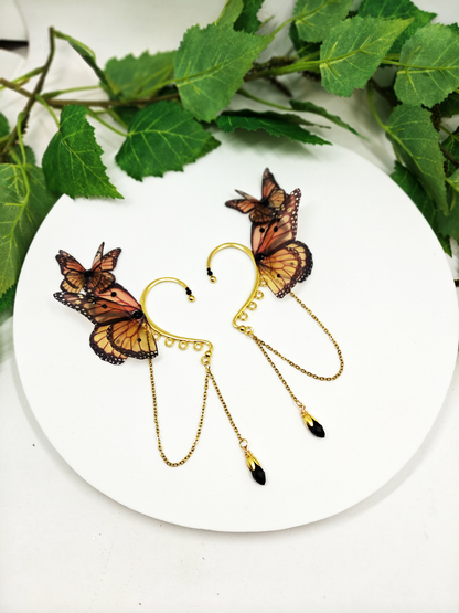 Précommande Papillon Monarque