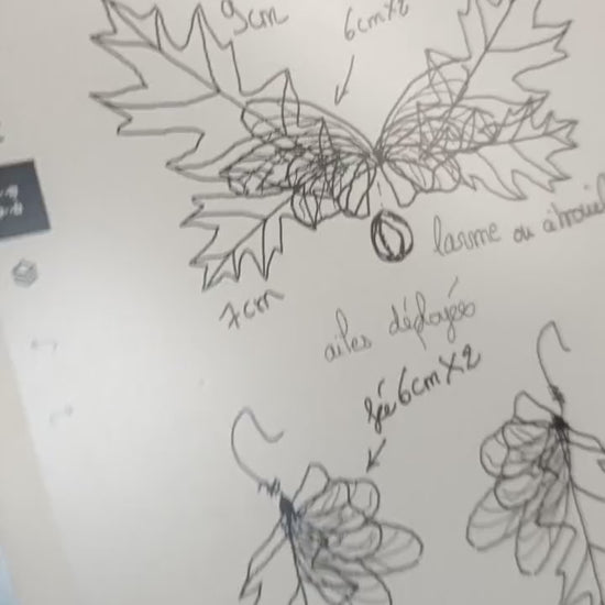 instagram_elirisea_DOGycx0iKRv.mp4