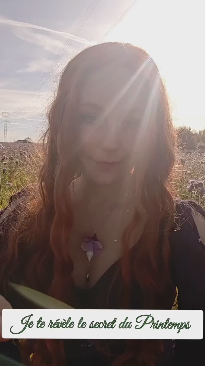 instagram_elirisea_DRPs_woiIiW.mp4