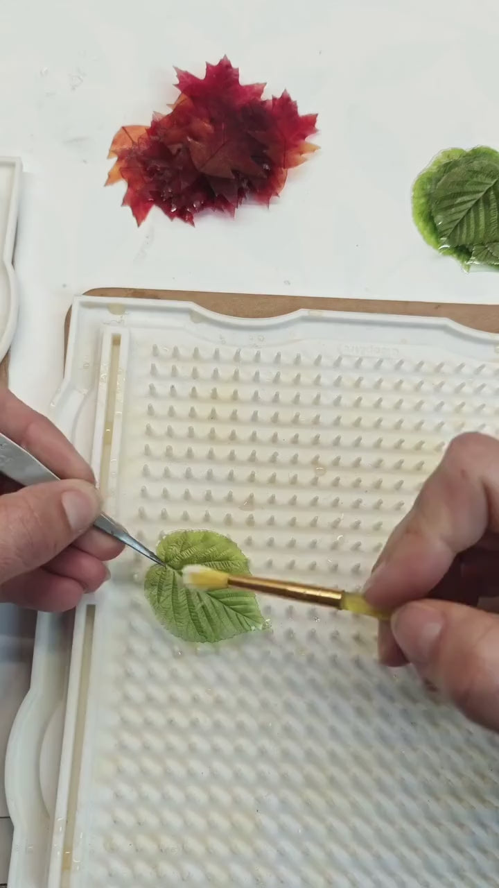 instagram_elirisea_DObYw34CO9c.mp4